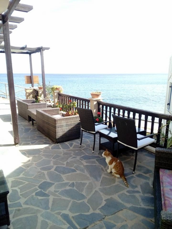 Coral Front Beach Káto Zákros Kültér fotó